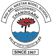 Balniketan School